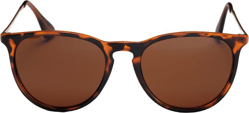 Roma, från CHPO, i färgen turtle brown / brown.