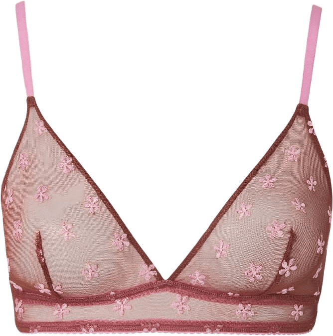 Mesh Triangle Bralette