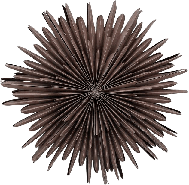 Sälen Adventsstjärna, från Venture Home, i färgen greige,white.