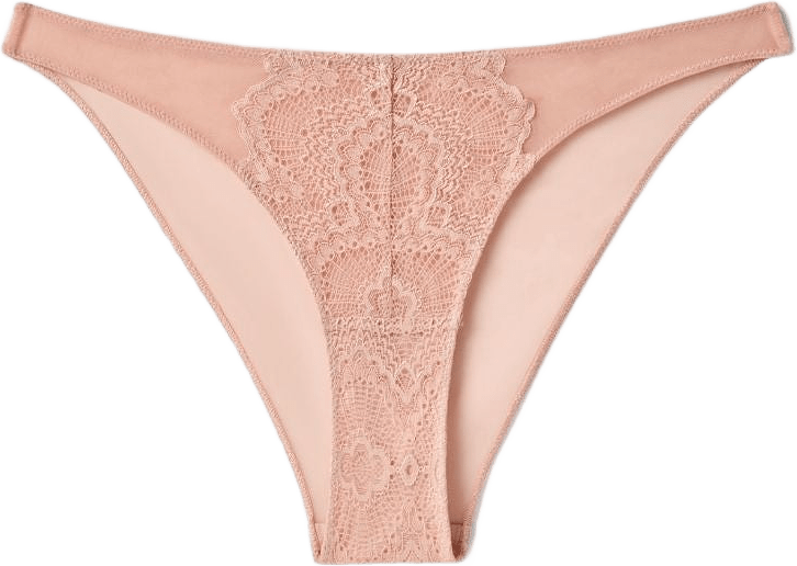 Lace Mesh Bikini Briefs, från Understatement, i färgen nude.