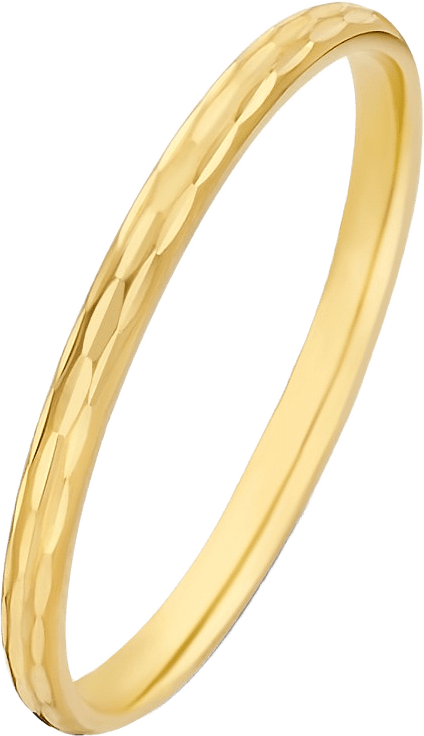 Rivoli 14 Karat Guld Ring