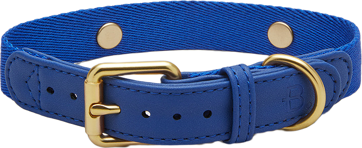 Veganskt Läder Hundhalsband, från Barkalot, i färgen blue.