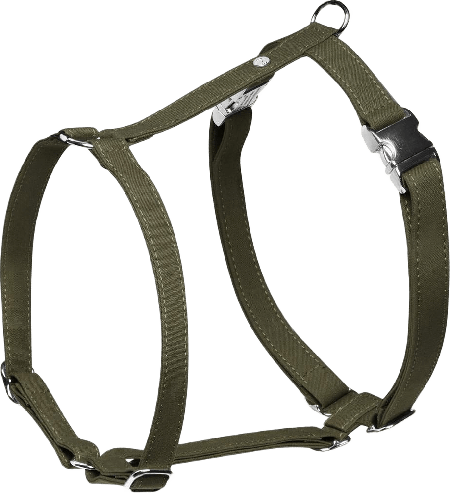 Hundsele Signature Go Chocolate - Denjo Dogs, från Denjo Dogs, i färgen khakigrön.