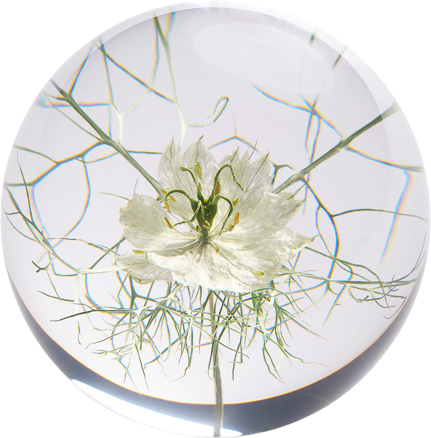 Flor Pappersvikt, från In Flore, i färgen vit.