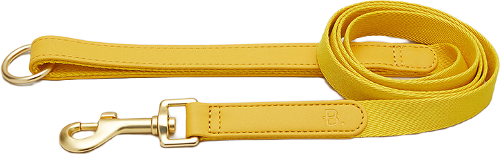 Veganskt Läder Hundkoppel, från Barkalot, i färgen yellow.