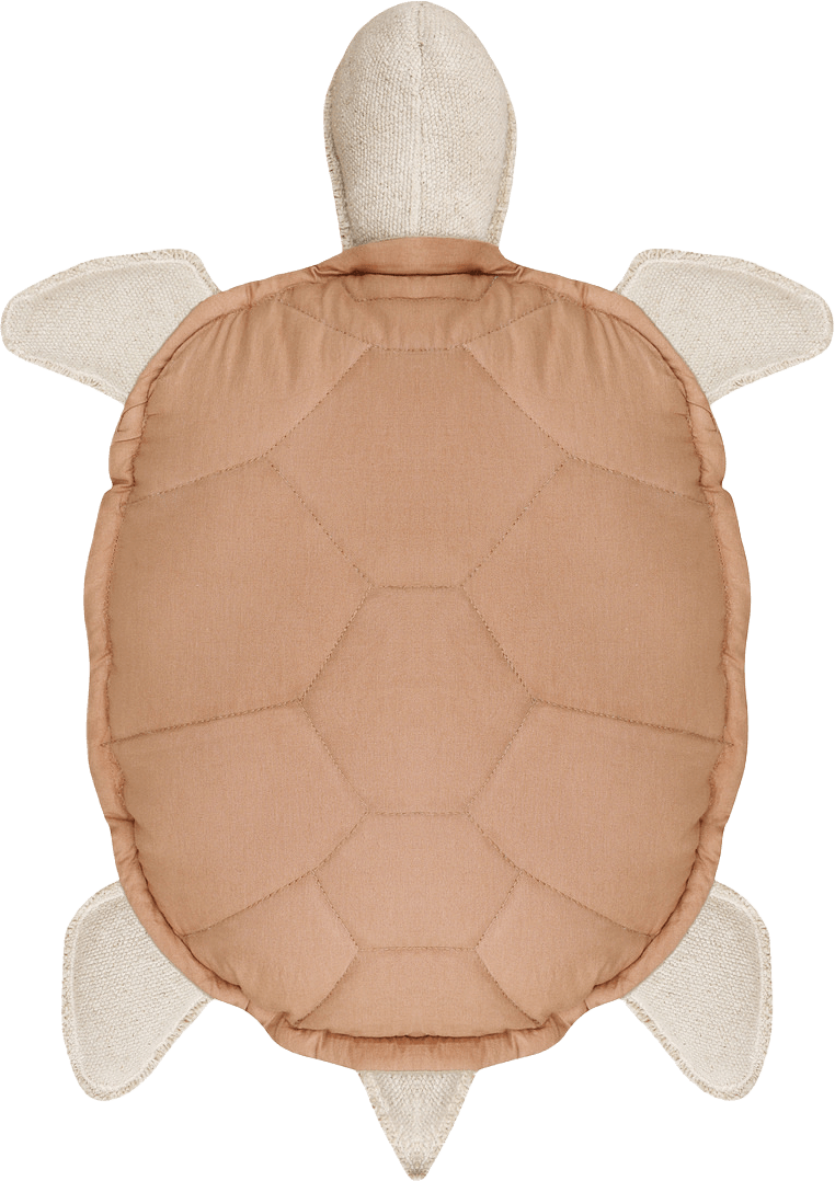 Kudde Sköldpadda, från LORENA CANALS.