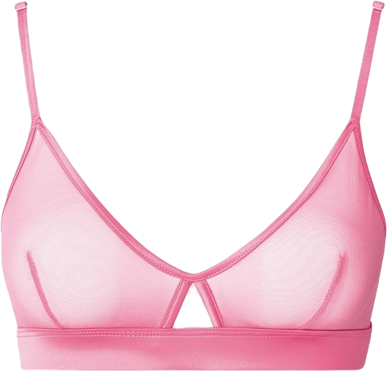 Mesh Cut-out Triangle Bralette