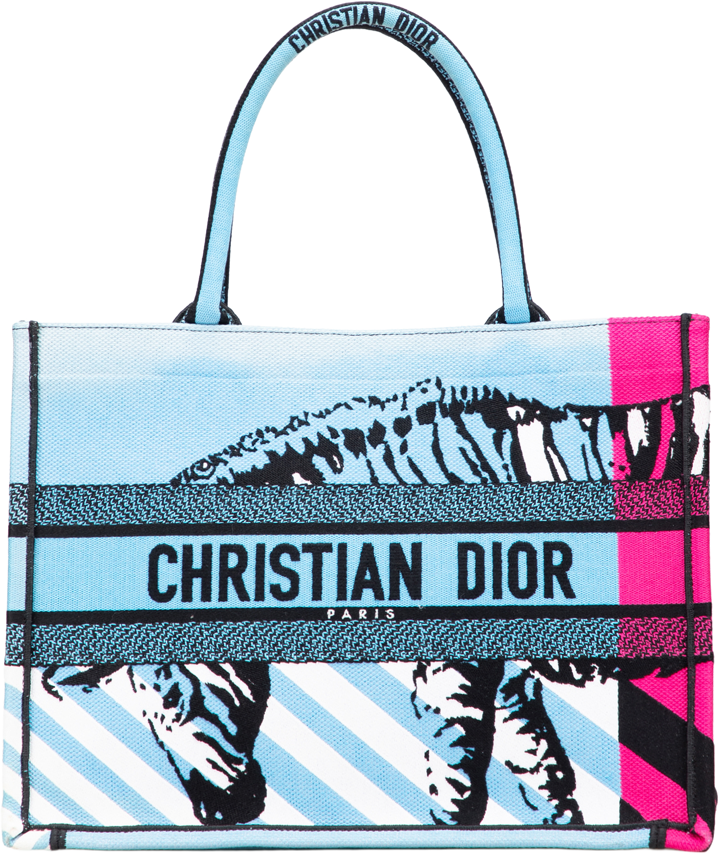 Dior Medium Embroidered Canvas Zebra D Jungle Pop Book Tote, från Luxclusif, i färgen light blue.