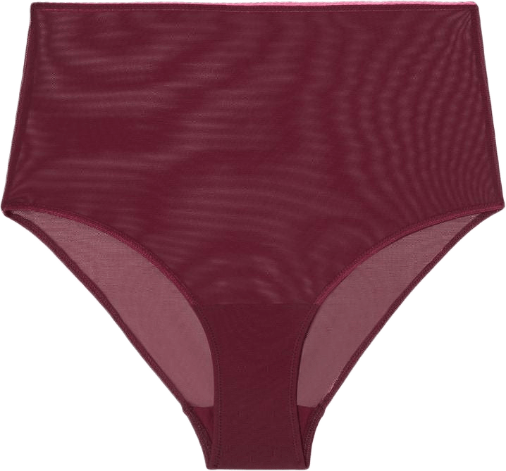 Mesh Highwaist Briefs