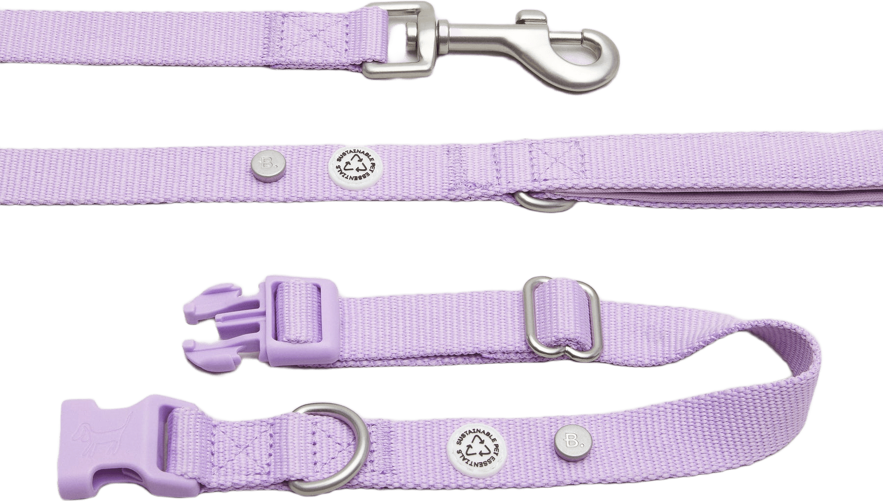 Lilac Dog Collar Walk Kit - S