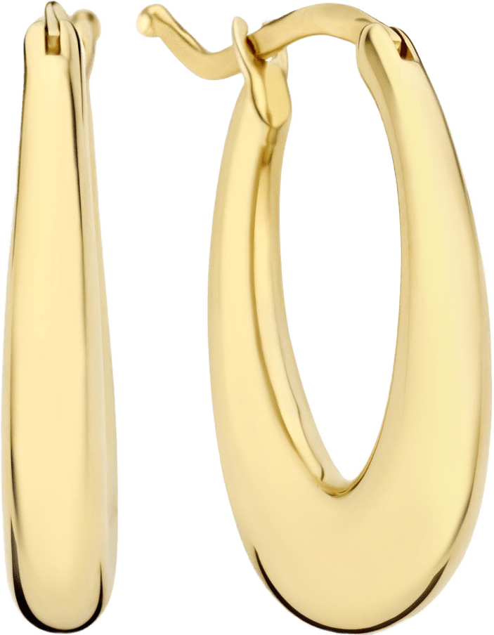 Rivoli 14 Karat Guld Örhängen
