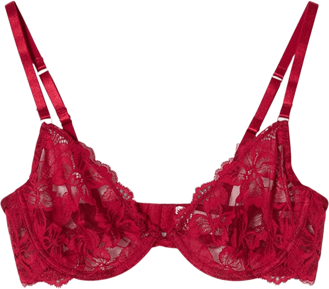 Fab-u-lace Wire Bra, från Frank Dandy, i färgen wine.