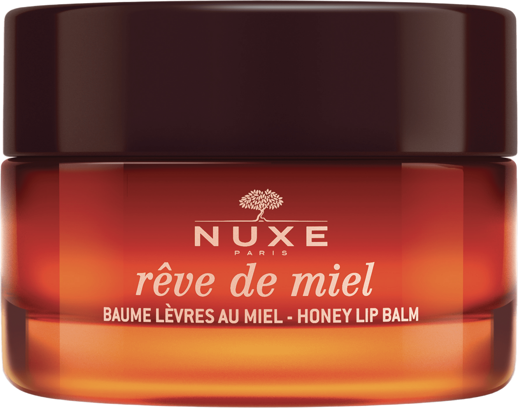 Rêve de Miel Ultra-Nourishing Lip Balm