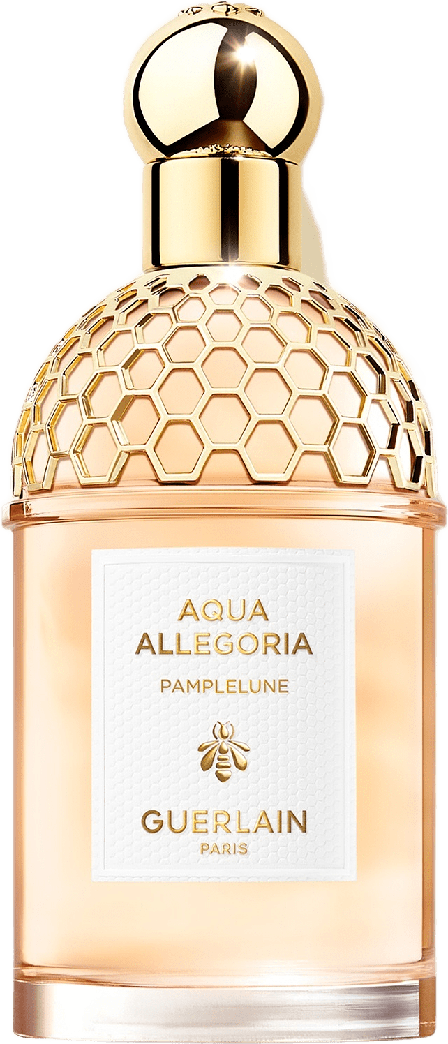 Aqua Allegoria Pamplelune EdT