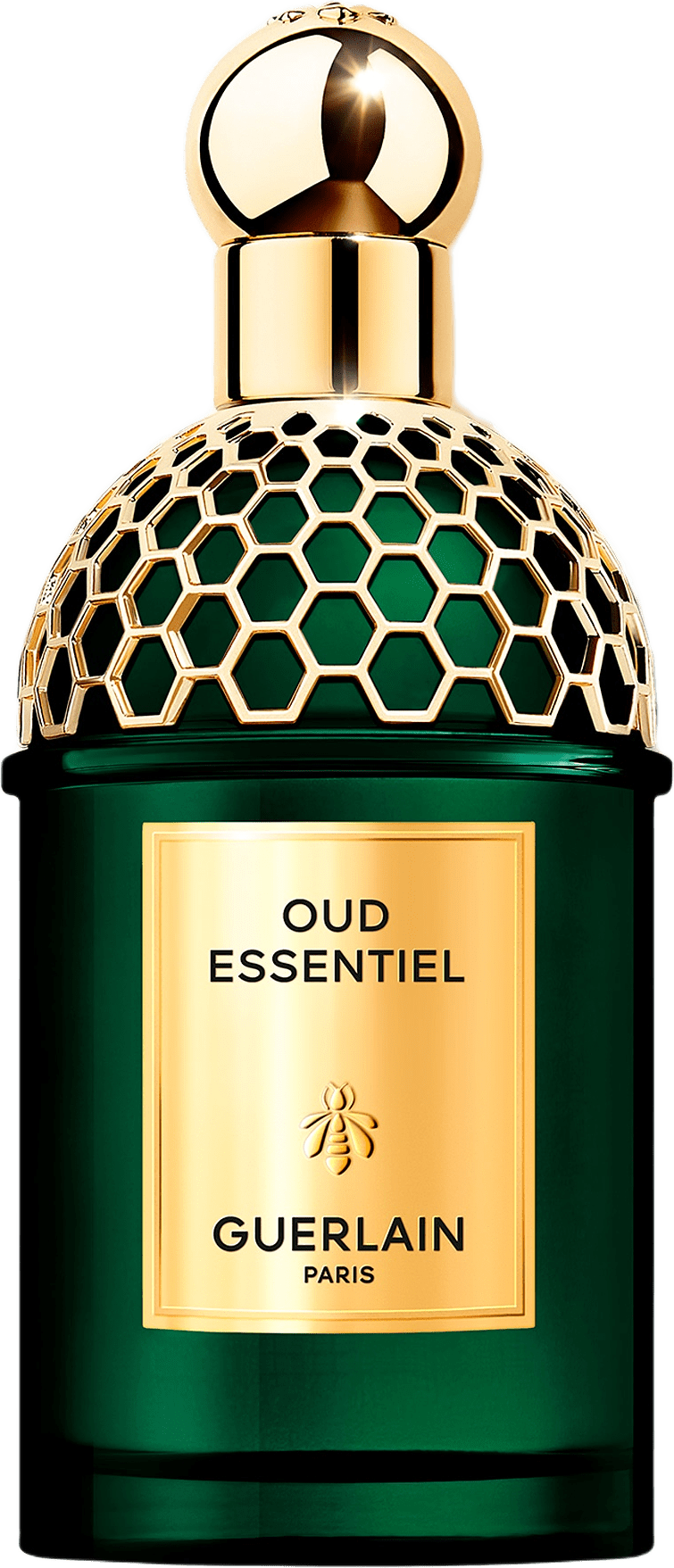 Absolus Allegoria Oud Essentiel EdP