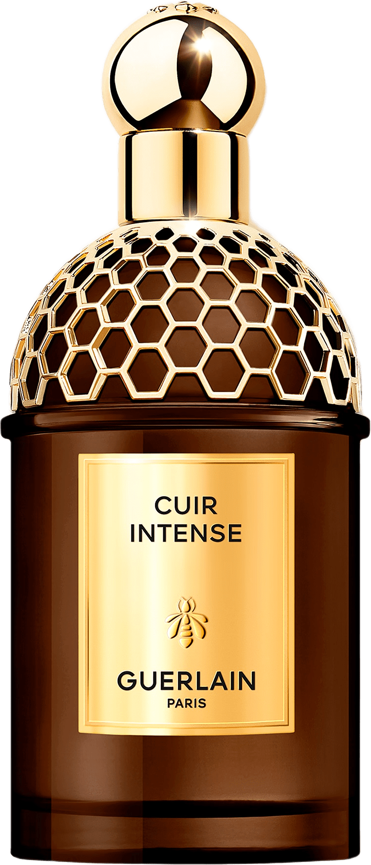 Absolus Allegoria Cuir Intense EdP