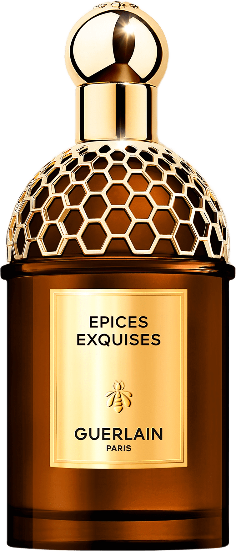 Absolus Allegoria Epices Exquises