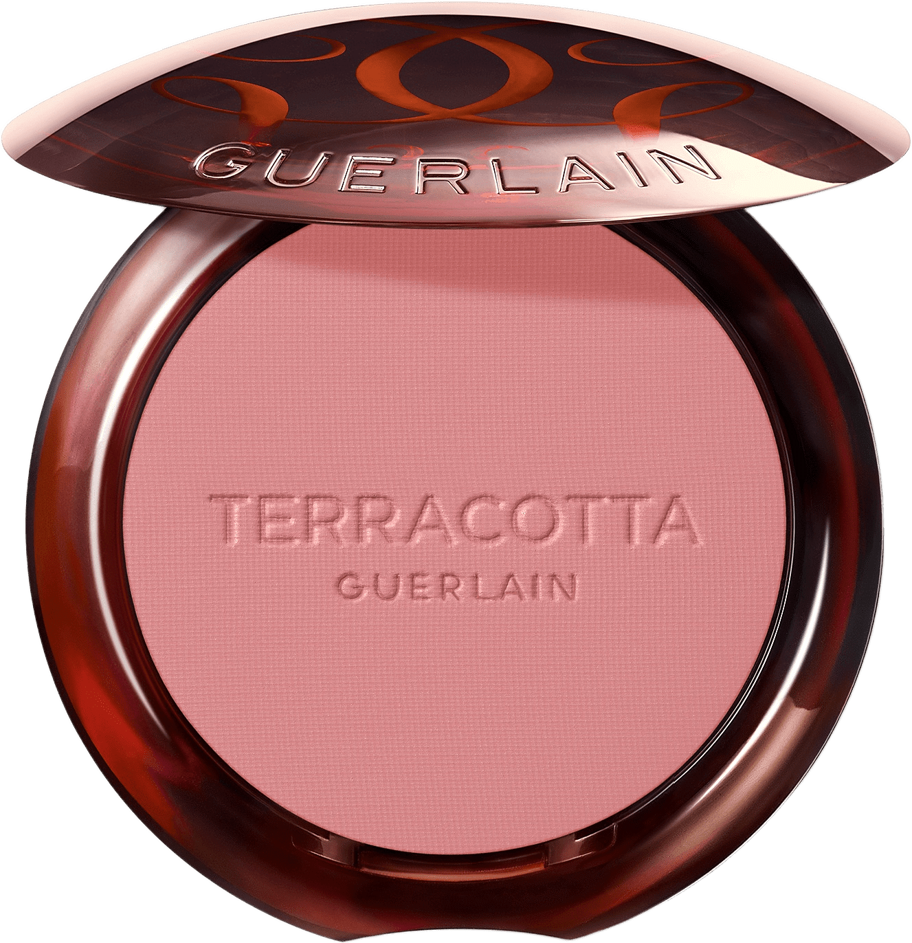 Terra Healthy Glow Powder Blush
