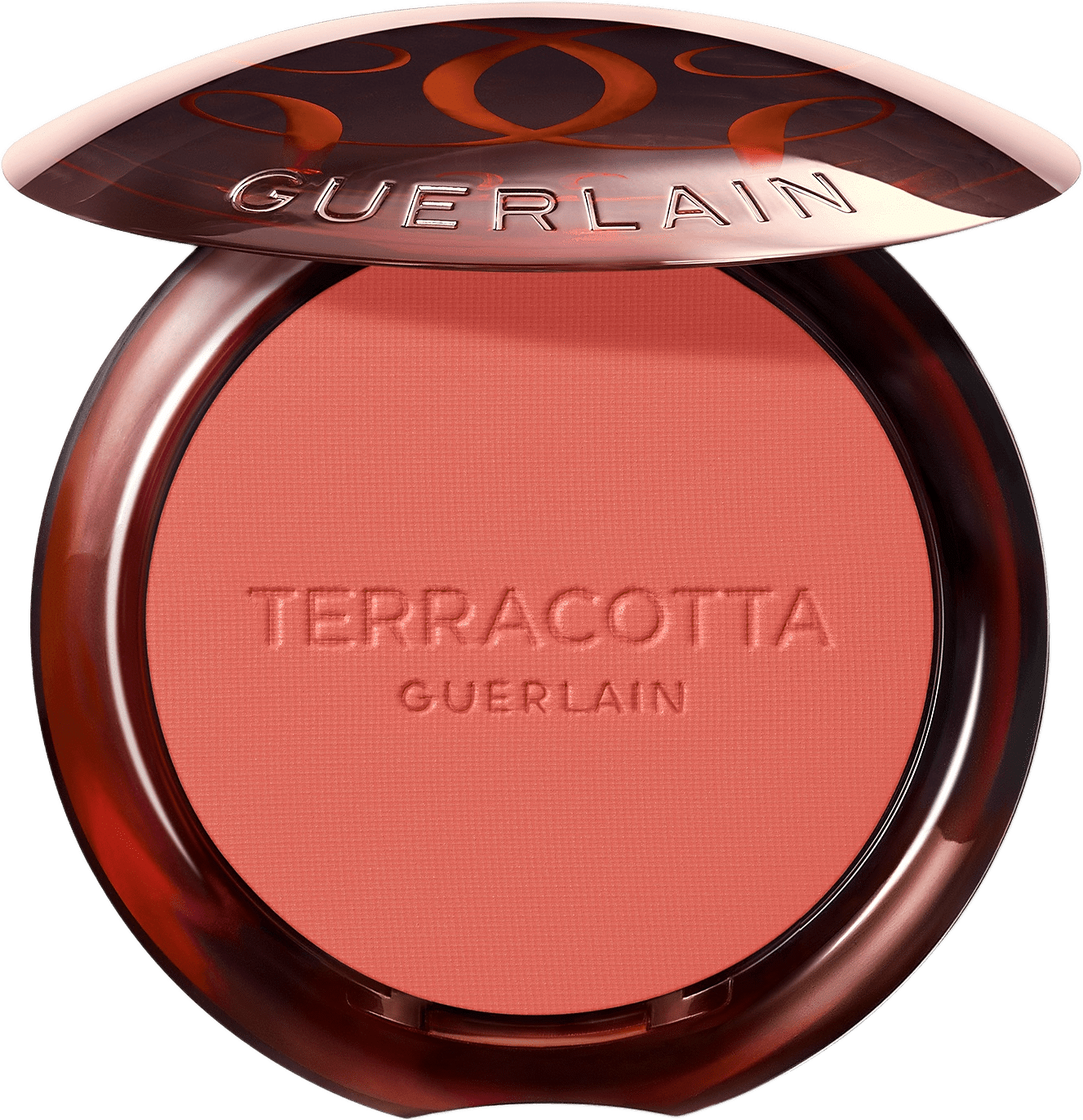 Terra Healthy Glow Powder Blush