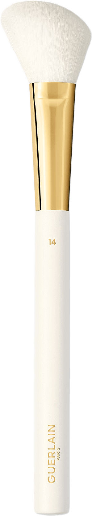 Blush & Highlighter Brush