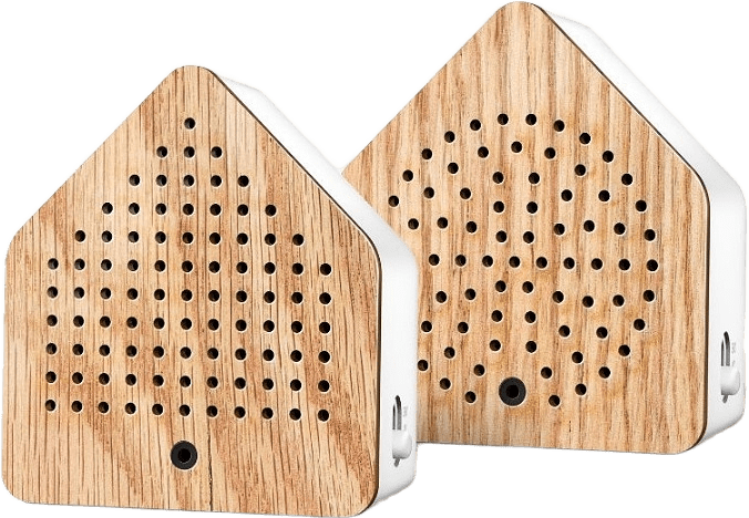 Zirpybox Speldosa 2-pack Gräshoppa Ek