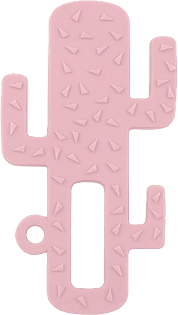 Minikoioi Bitring Kaktus