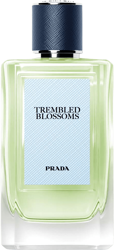Trembled Blossoms Eau de Parfum, från Prada.