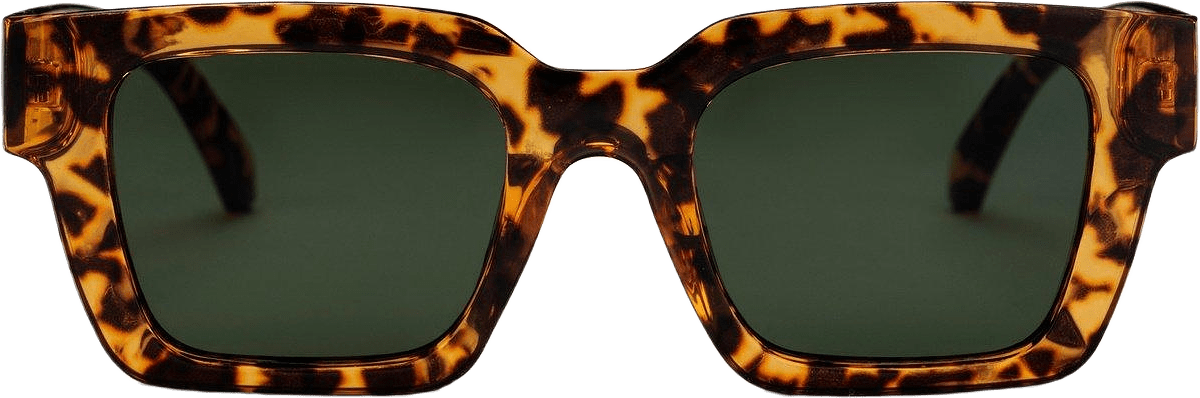 Max, från CHPO, i färgen leopard /green.