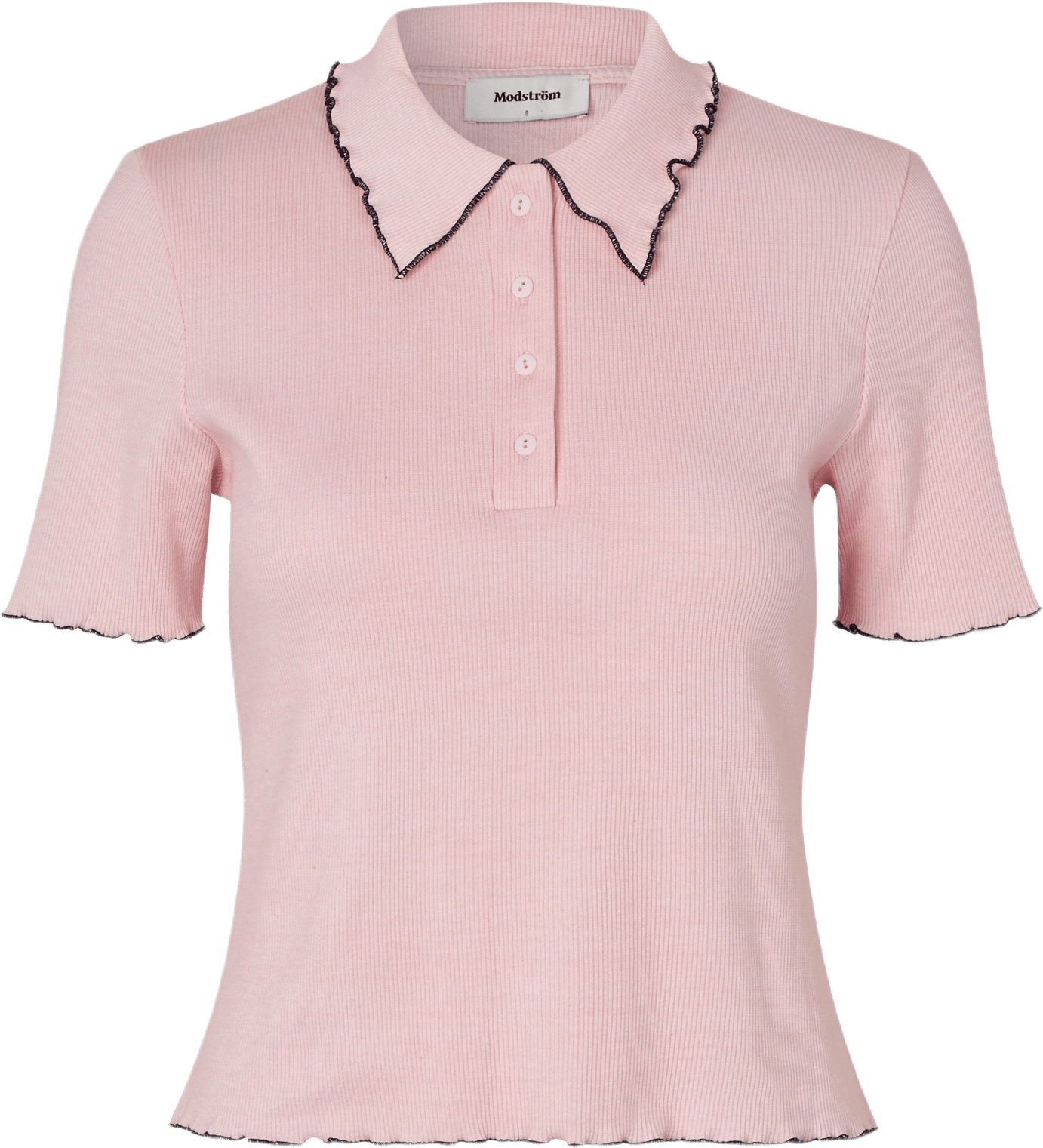 Magdalonemd Polo