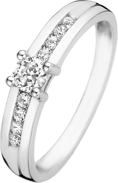 Saint Germain 14 Karat Vitguld Ring