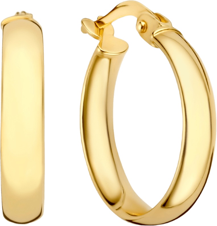 Rivoli 14 Karat Guld Creoler
