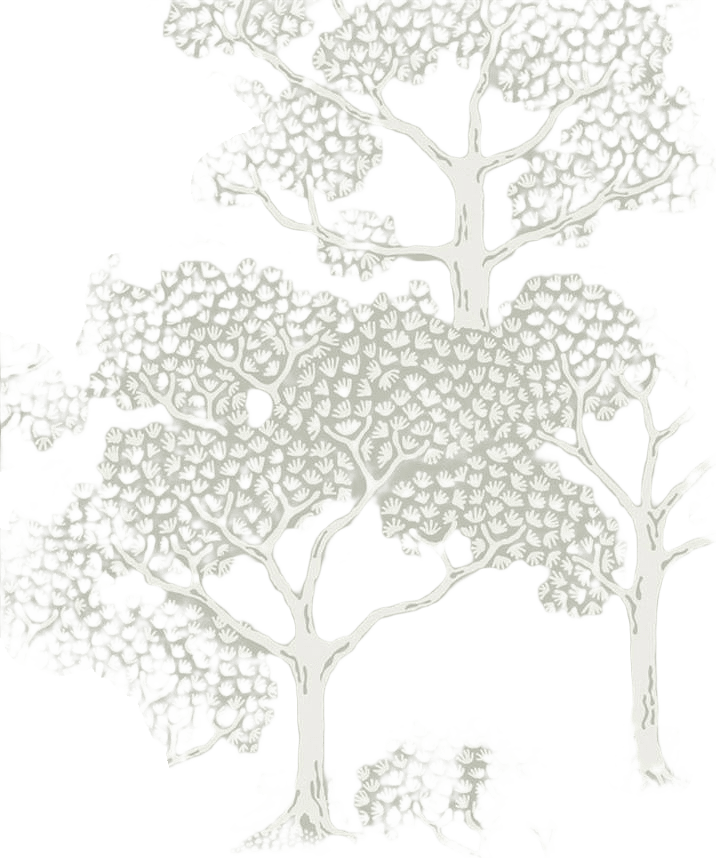 Tapet Woodland Notes - Sage Green, från Littlephant, i färgen sage green.