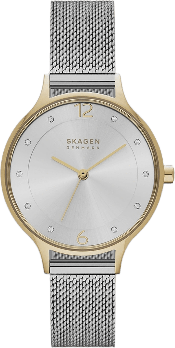 Skagen Anita Dam, Silver/bicolor, Meshlänk - Skw2340, från Skagen, i färgen 1.