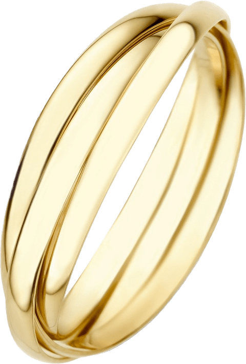 Rivoli 14 Karat Guld Ring