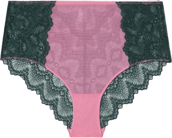 Lace Mesh Highwaist Briefs
