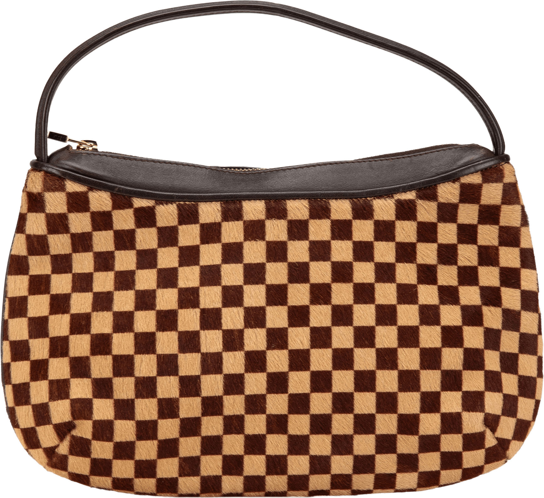 Louis Vuitton Damier Sauvage Tigre