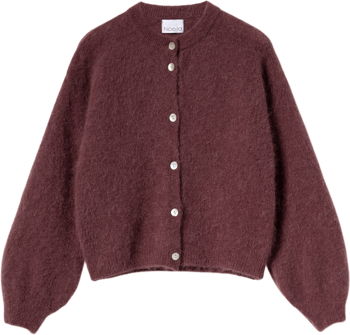 Kae Knit Cardigan - Rust, från Noella, i färgen rust.