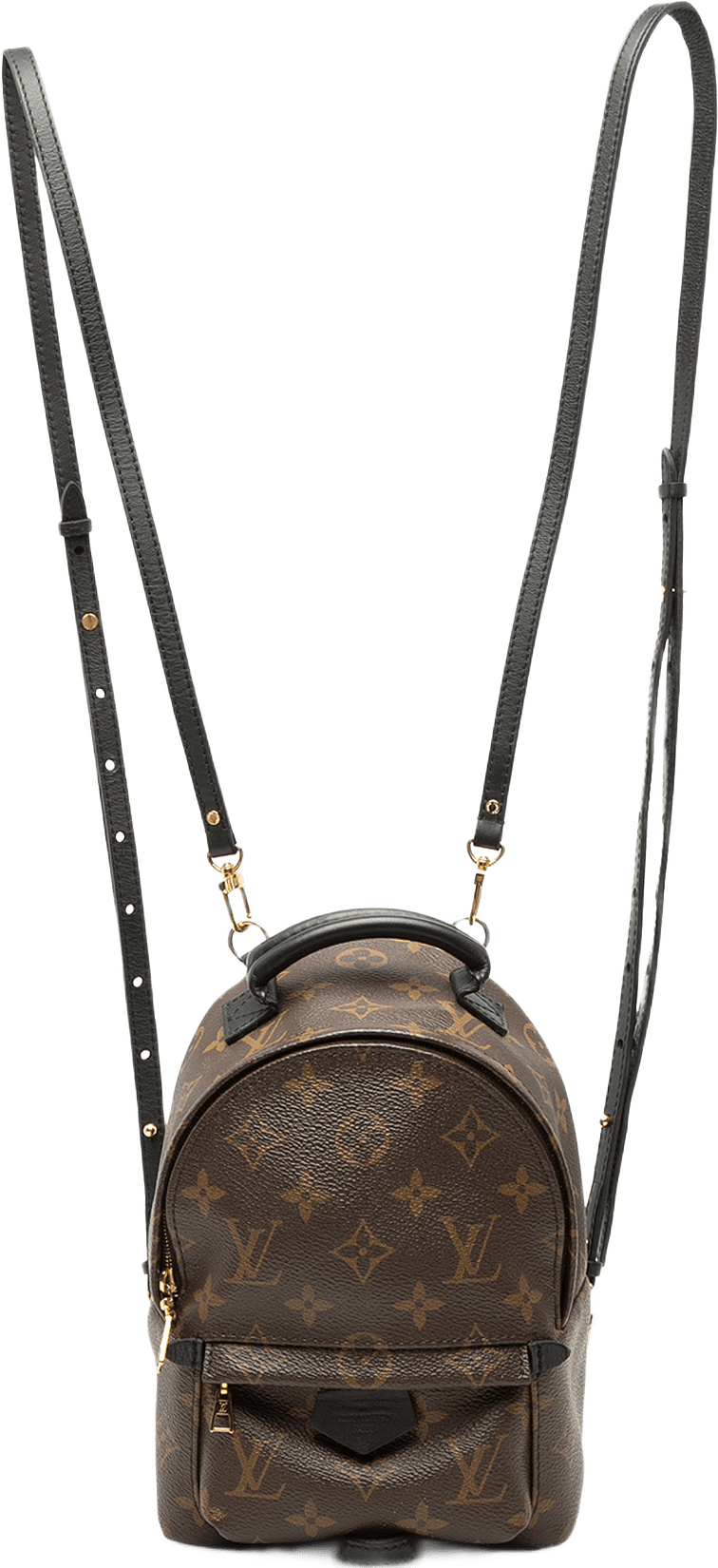 Louis Vuitton Monogram Mini Palm Springs, från Luxclusif, i färgen brun.