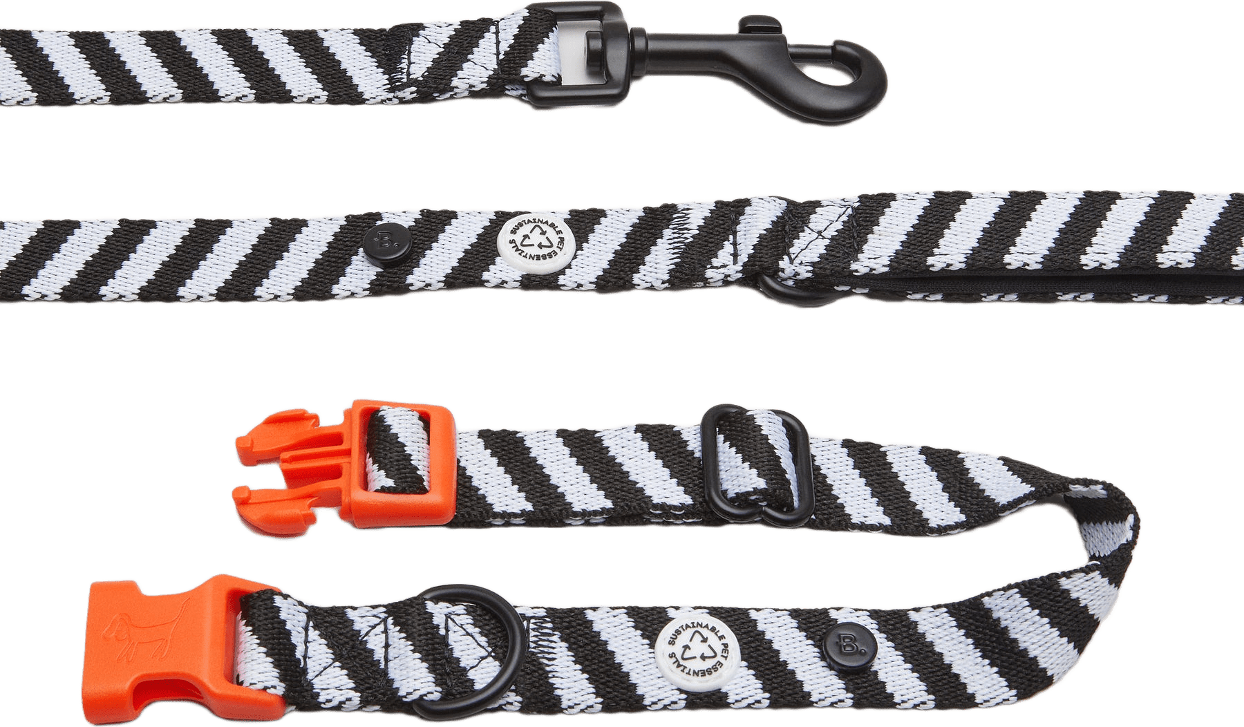 Zebra Dog Collar Walk Kit - L
