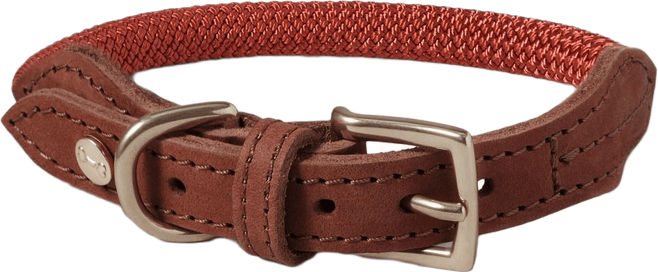 Hundhalsband Torekov, från Denjo Dogs, i färgen rusty bronze.