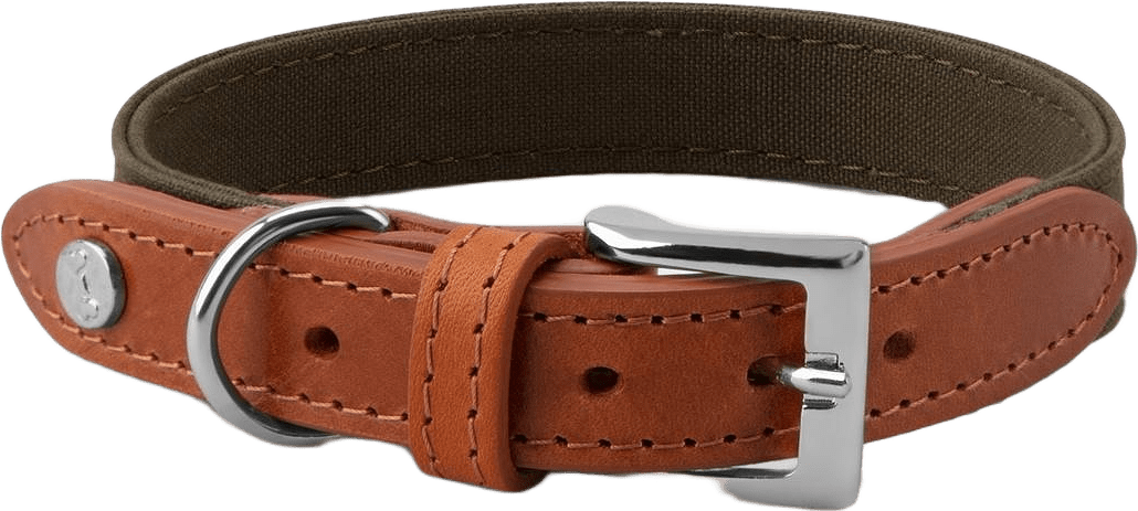 Hundhalsband Signature, från Denjo Dogs, i färgen cognac & khaki.