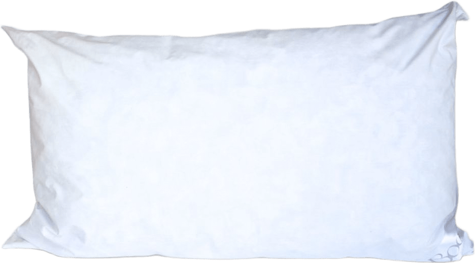 Harper Featherstone - Fjäderinnerkudde 50x80cm, från Home of ESS, i färgen white.