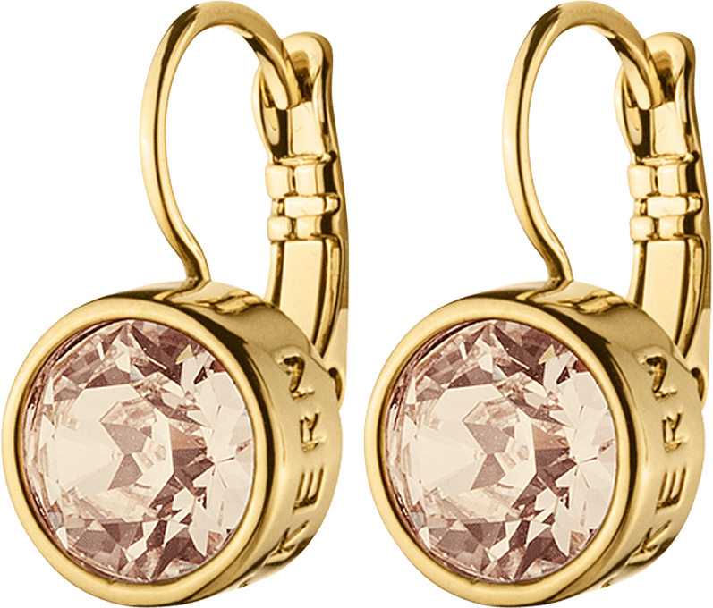 Örhänge Louise, från Dyrberg & Kern, i färgen Gold.