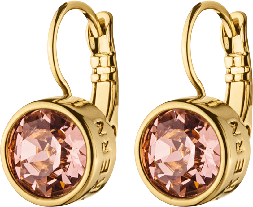 Örhängen Louise SG, från Dyrberg & Kern, i färgen Shiny Gold.