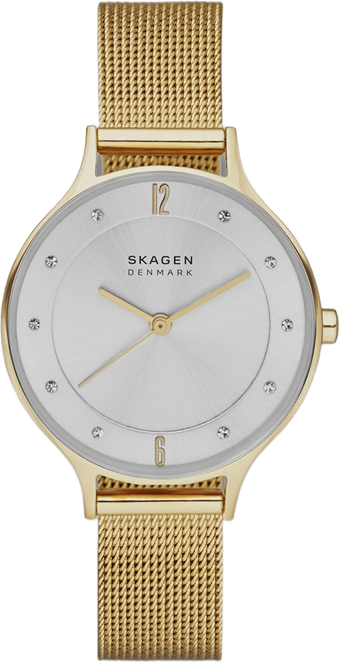 Skagen Anita Dam, Silver/guldton, Meshlänk- Skw2150, från Skagen, i färgen 1.