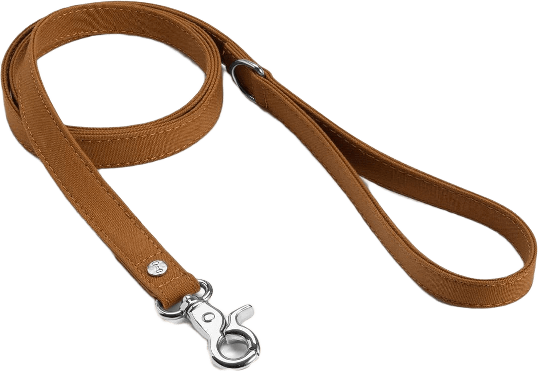 Hundkoppel Signature Go Senapsgul - Denjo Dogs