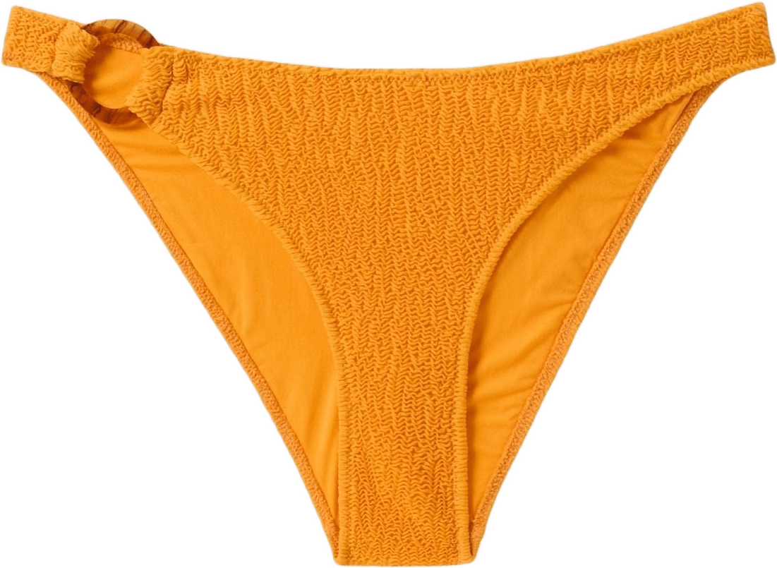 Ring Bikini Briefs