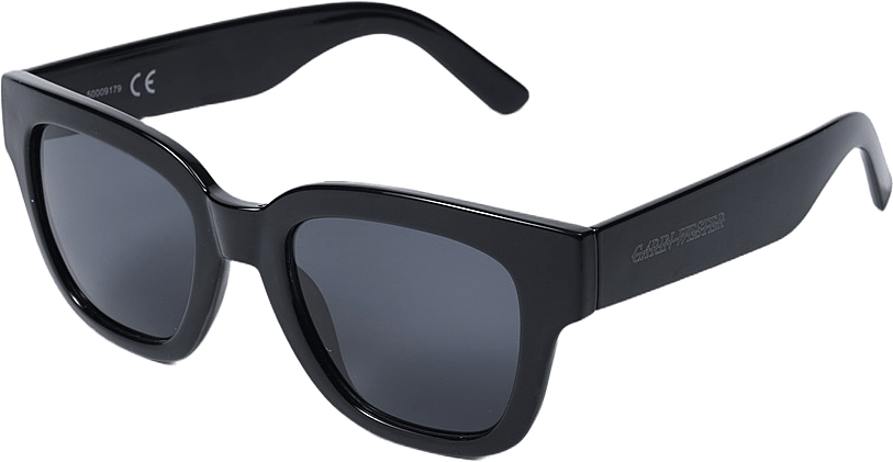 Solglasögon LUNA, från Carin Wester, i färgen Black.