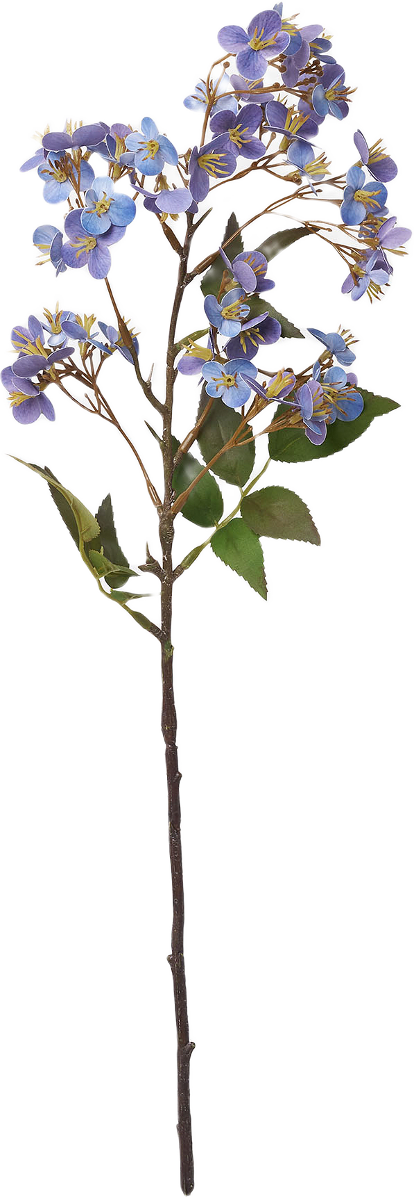 Konstväxt vildhortensia