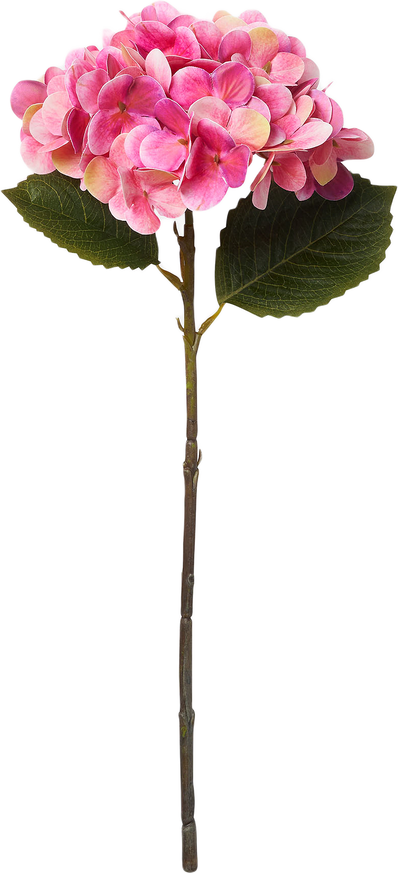 Konstväxt hortensia, från Åhléns Home, i färgen Strong Pink.